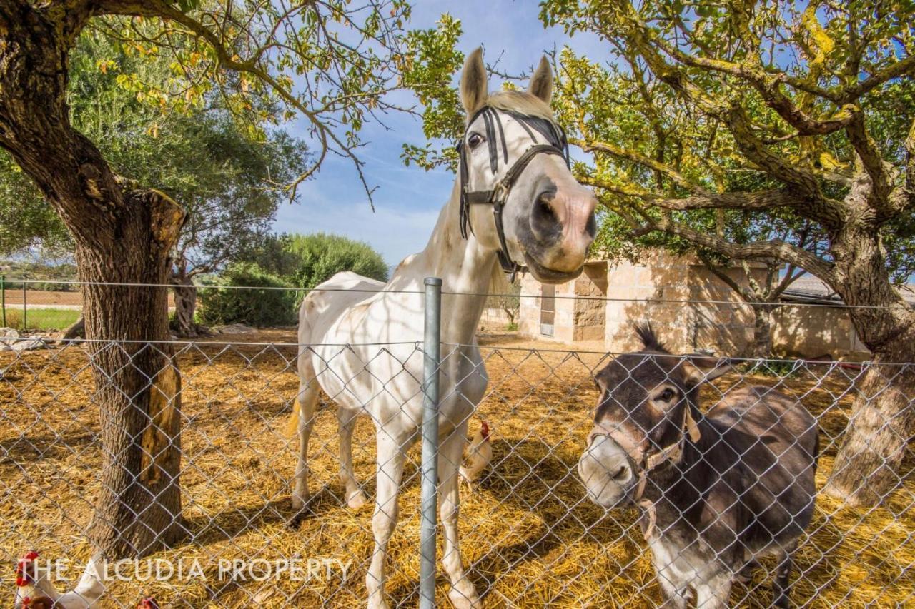 Finca Pegasus Алькудия Экстерьер фото