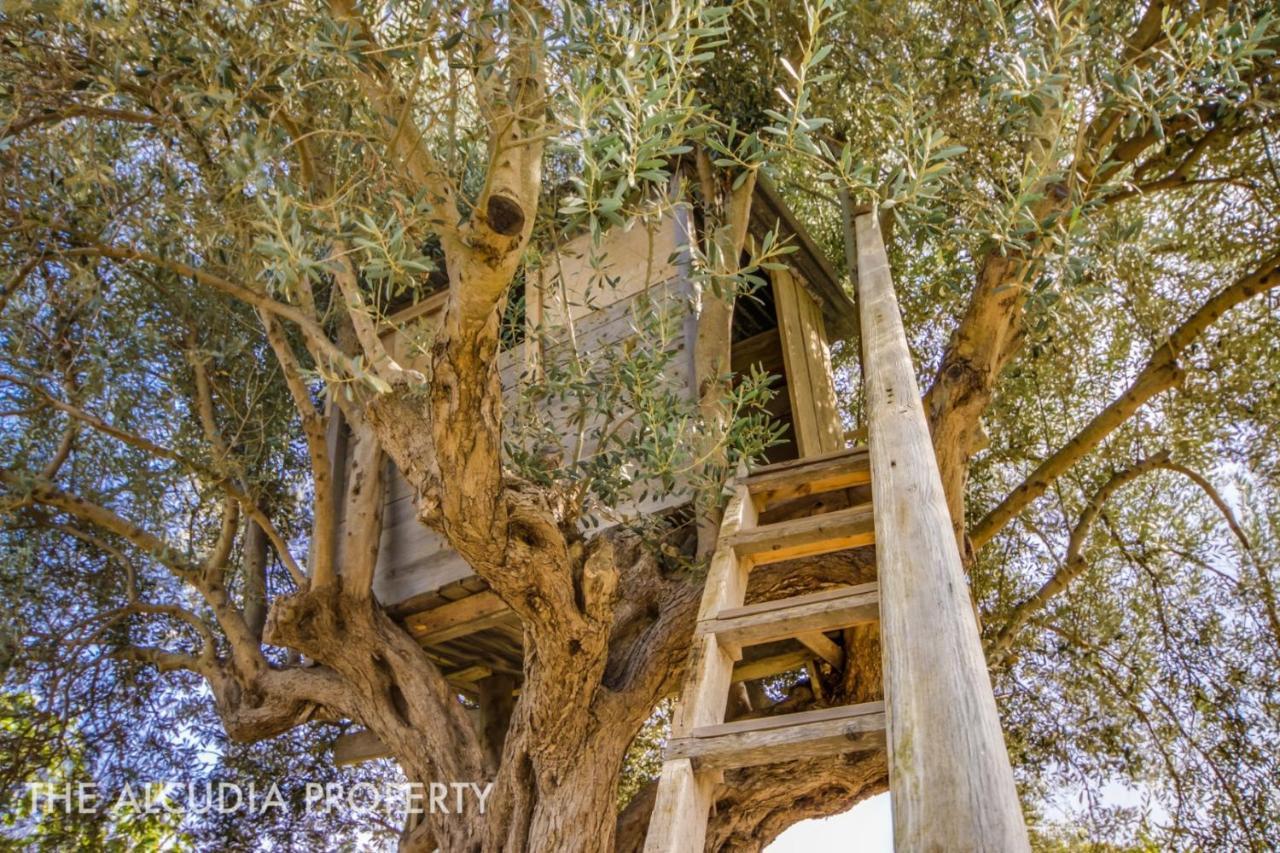Finca Pegasus Алькудия Экстерьер фото